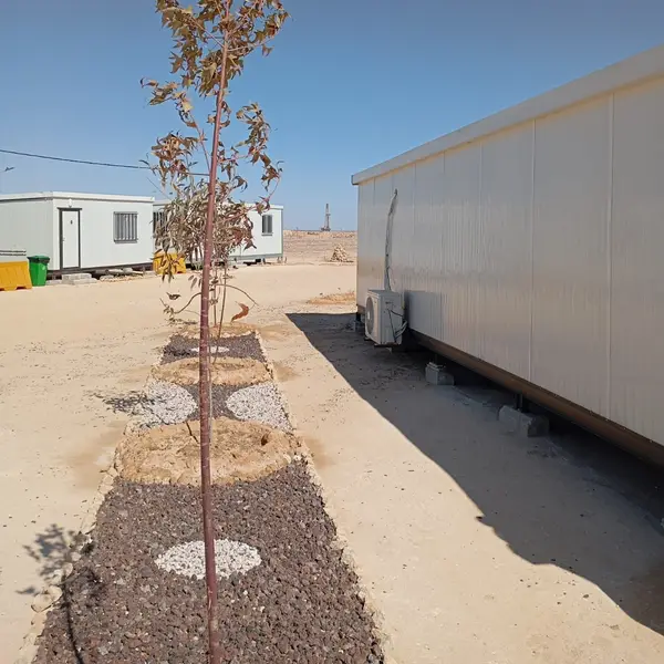 ADNOC, Azraq & Sarhan